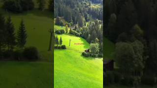 Roots calum Scott shorts song short