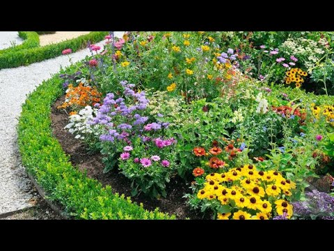 Video: Taman Bunga. Peduli. Mekar Dekoratif, Gugur Dekoratif. Semak Belukar. Bunga-bunga. Bagaimana Mengatur. Ambil Tanaman Untuk Taman Bunga, Taman. Sebuah Foto