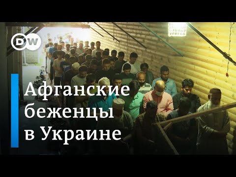 Видео: Могу ли я принять афганских беженцев?