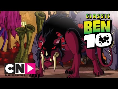 Prédateurs | Ben 10 Omniverse | Cartoon Network