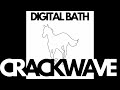 Miniature de la vidéo de la chanson Digital Bath (Telefon Tel Aviv Version)