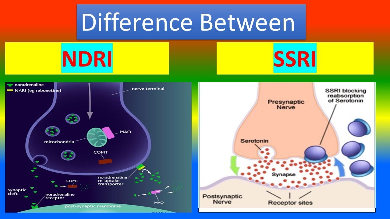 difference-between-ndri-and-ssri-youtube