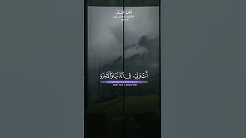 #خالد_الجليل #تلاوة_مميزة #اكسبلور #quran #explore