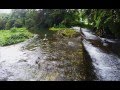 River in mauritius by akshay dhondoo