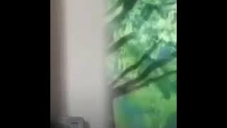 KETHOPRAK DEWI RENGGANIS