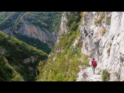 Le chemin de la Mâture dans la vallée d'Asp, Béarn.