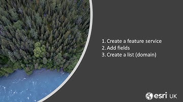 Creating a feature layer for ArcGIS Field Maps