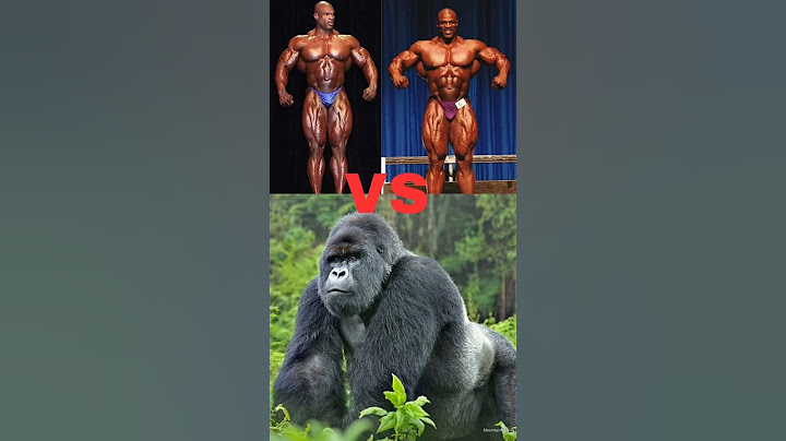 Vücut geliştirici vs Goril