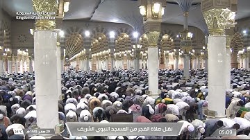 فجر الخميس|للشيخ #عبدالمحسن_القاسم 29-2-1445هـ |من سورة النساء
