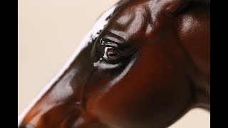 Easy & Realistic Eyes - HOW TO PAINT A BREYER MODEL HORSE - Tutorial screenshot 1