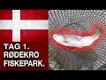 Forellenangeln in Dänemark | Rødekro Fiskepark | Forellenangeln im Herbst