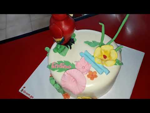 საბავშვო ტორტი \"თუთიყუში\