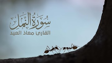 أمن يجيب المضطر إذا دعاه | تلاوة مريحة ومؤثرة للقارئ معاذ العيد