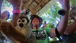 Monkeyland Puerto Plata  Dominican Republic, Carnival Mardi Gras excursion.