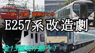 【E257系改造劇】全13編成の改造が終了！ E257系入場・出場・疎開シーンまとめ