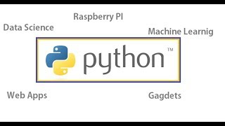 Celebrity The Python Mega Course Wealth