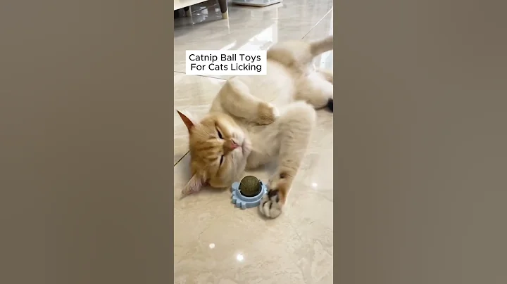 Cats Go Crazy for This Catnip Toy! Must-See Reactions!