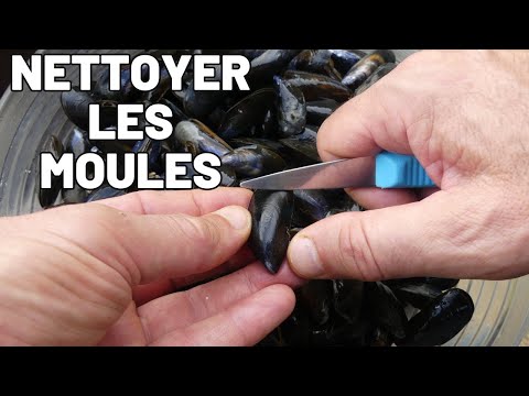 Comment Nettoyer les