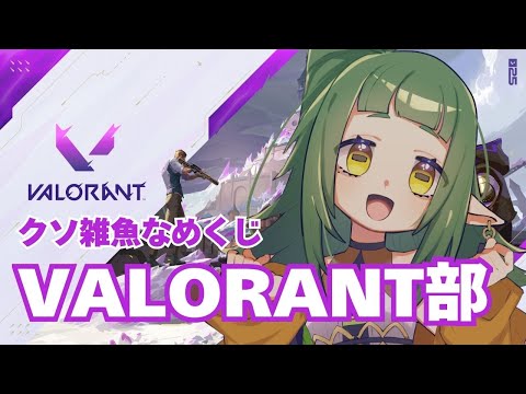 【#VALORANT】本当に 弱い クソ雑魚なめくじ VALORANT部【アイアンの民】
