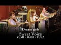 【LIVE】Dream girls【by Sweet Voice】