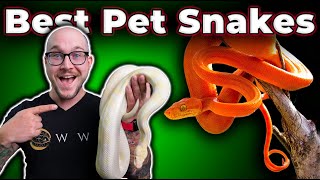 The Best Pet Snakes At Every Size