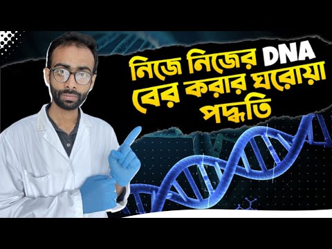 ভিডিও: মানুষের ডিএনএ কি কলার সাথে মেলে?