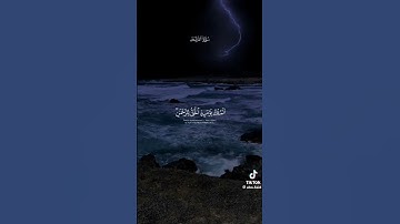 #القران الكريم #اكسبلور #flowers #تيك_توك #لايك