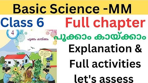 ക്ലാസ് 6 അടിസ്ഥാന ശാസ്ത്രം MM അധ്യായം 4 പൂവിടുന്നതും കായ്ക്കുന്നതും സംബന്ധിച്ച വിശദീകരണവും പൂർണ്ണ പ്രവർത്തനങ്ങളും നമുക്ക് വിലയിരുത്താം