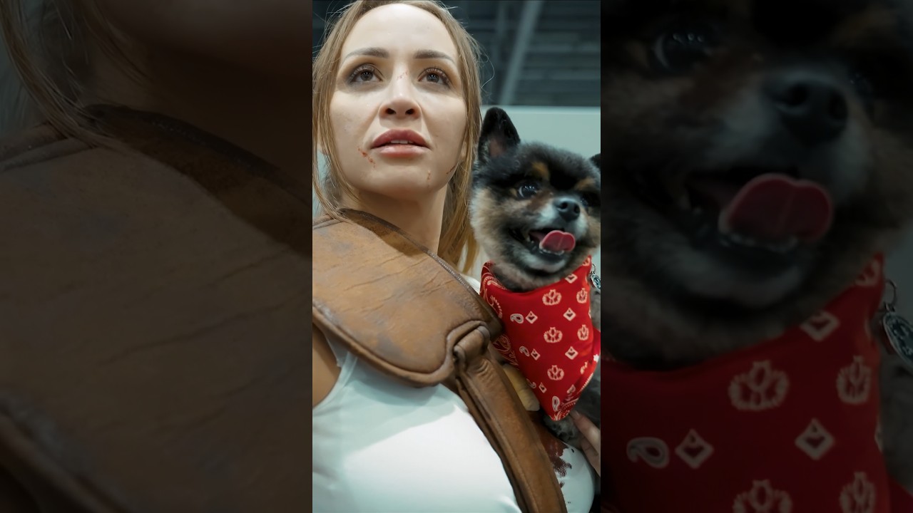 🐶DOGMEAT (FALLOUT) COSPLAY SPOTTED IN THE WILD🤩 Mando may be taking home the CUTEST cosplay award😍