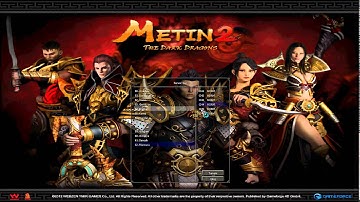 Metin 2 Windows 8 Problem