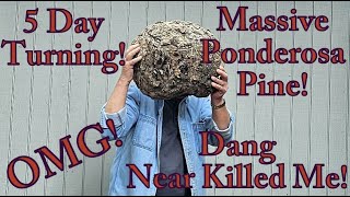 Massive Ponderosa Pine! 5 Day Turning!  Wood Turning