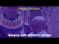 Emanuel nicarios_ Bwana u sehemu yangu(official lyrics video) Mp3 Song