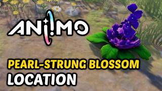 Aniimo - Pearl-Strung Blossom Locations