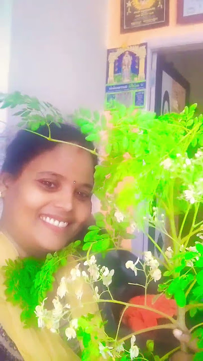 He who plants a drumstick leaves empty-handed #revathigt