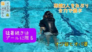 暑すぎ真夏は孫娘とプール遊び爺と婆は体力が日々限界突破です #孫娘 #じいちゃん #ばあちゃん #プール #猫 #オカメインコ #陸亀 #カエル #熱帯魚
