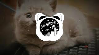 Nightcore - xue mao jiao