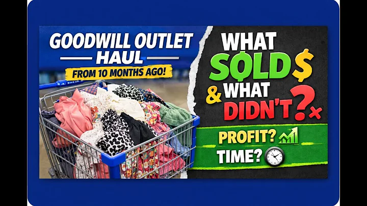 I Tracked a Goodwill Outlet Haul for 10 Months… Here’s What Sold & What Didn’t