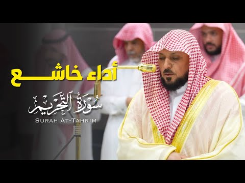 تلاوة خاشعة بديعة من الشيح د ماهر المعيقلي لأواخر سـورة التحريم عشاء الأحد ١ ٣ ١٤٤٧هـ 