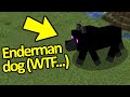 Minecraft WTF Moments that will Change Minecraft for you FOREVER #2