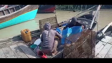 " NASIB BADAN "