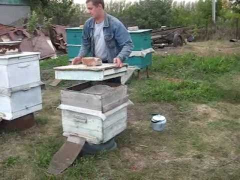 Подкормка пчел медом - YouTube