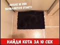 НАЙДИ КОТА с ответами Тест на внимательность Найди животных