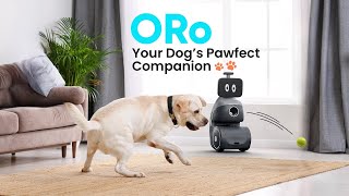 Meet ORo - the robot that can play with your dog when you're out