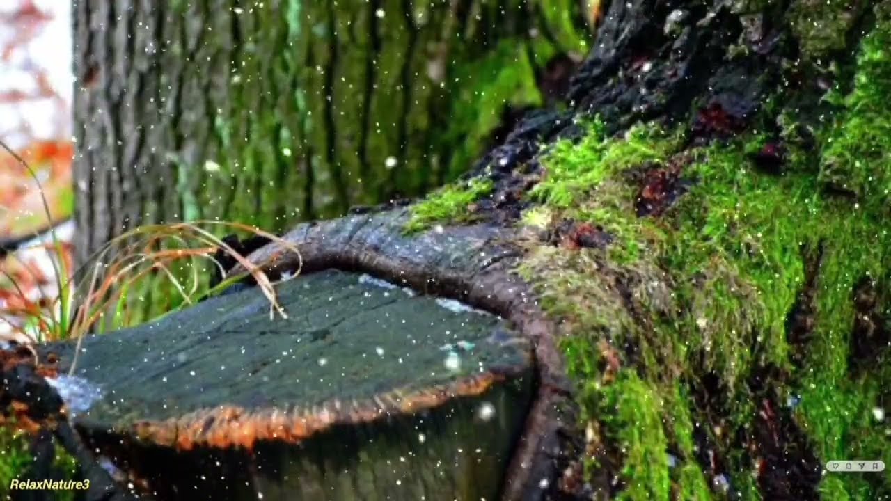 Погрузитесь в пространство природного спокойствия и мягкой тишины.