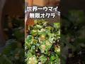 こんなにウマイオクラを知ってるかい？！#料理 #簡単レシピ #おつまみ #まいにちごはん