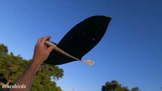 Tiny Tail RC Glider Snippet