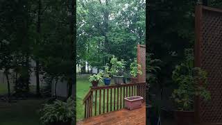 The soft sounds of rain and thunder 🤗🌷🌿🌧 Northern NJ 💚💙 #rain, #newjersey screenshot 2