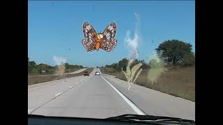 Bugs on the Windshield - Roadtrip