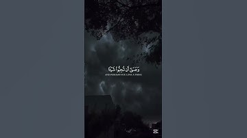 وَعَسَىٰ أَن تَكْرَهُوا شَيْئًا وَهُوَ خَيْرٌ لَّكُمْ ۖ|سورة البقرة| الآية _ 216| مشاري العفاسي