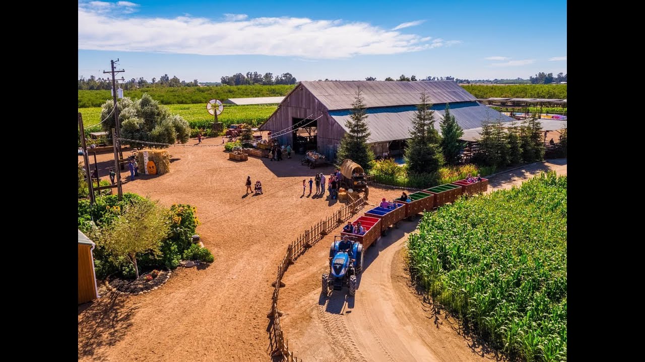 Strawberry Farm, Hunter Farms